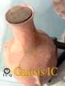 Xochicalco 1075