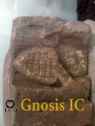 Xochicalco 1120
