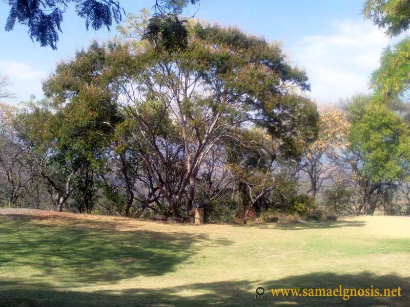 Zona Arqueológica de Xochicalco Foto 1182