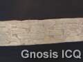 Tajín 195