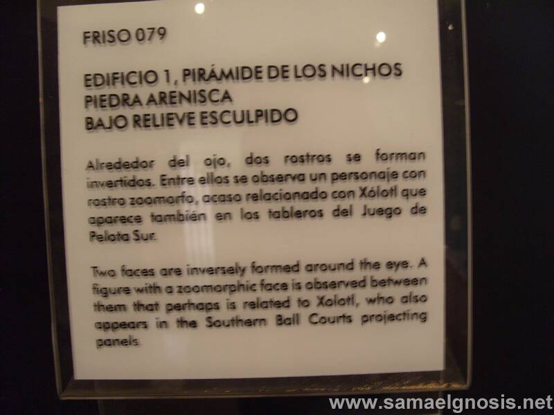 Tajín Foto 219