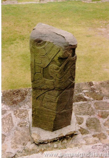 Tajín Foto 27