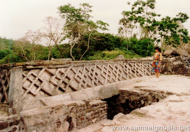 Tajín Foto 56