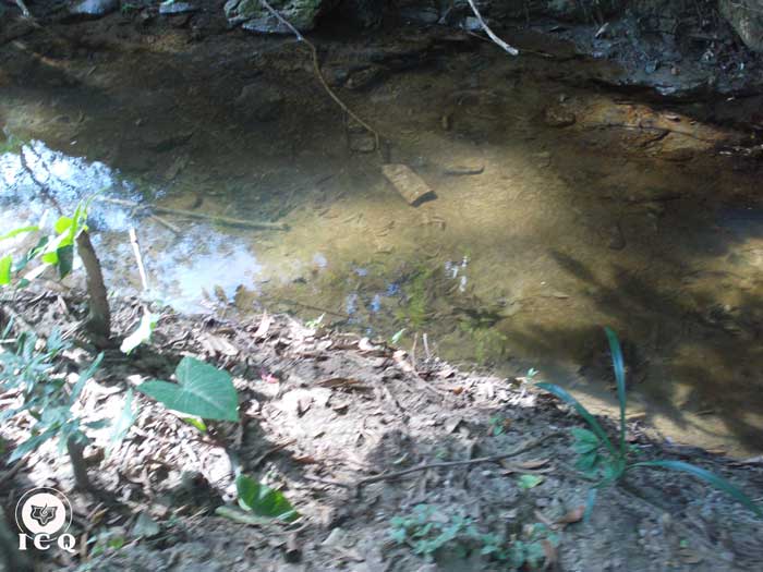 Las aguas puras de vida son las aguas de donde surgió la vida, según los génesis religiosos del mundo. En el ser humano es su energía creadora. Agua de la zona arqueológica de Toniná Chiapas, México. Las aguas puras de vida son las aguas de donde surgió la vida, según los génesis religiosos del mundo. En el ser humano es su energía creadora. Agua de la zona arqueológica de Toniná Chiapas, México.