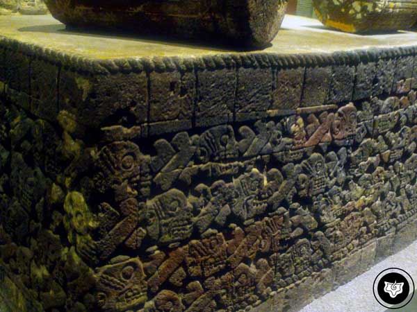 Muro de cráneos. (Antropología). Muro de cráneos. (Antropología).