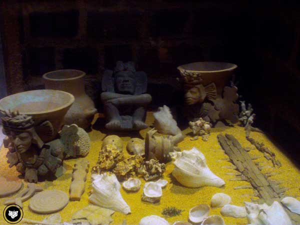 Ofrenda con caracoles marinos. (Mayor). 