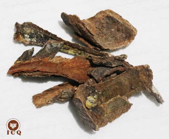 Mirra. (Myrrha Commyfora abissynica). Mirra. (Myrrha Commyfora abissynica).