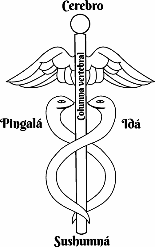Idá, Pingalá y Sushumná