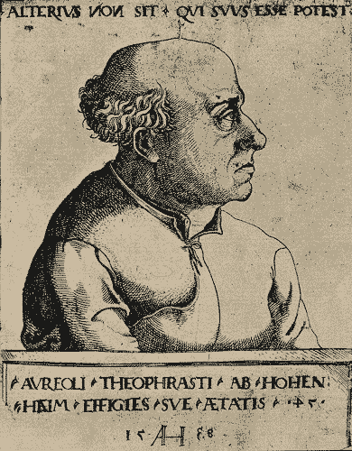 Imagen: Retrato de Paracelso (1538), Augustin Hirschvogel.