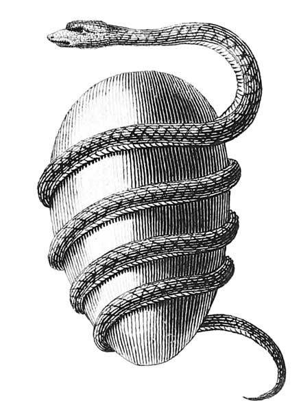 El huevo órfico. Serpiente y huevo mundial de los habitantes de Tiro. El huevo órfico. Serpiente y huevo mundial de los habitantes de Tiro. Jacob Bryant
1774