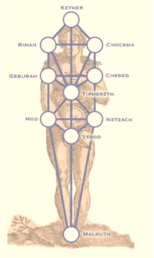 ÁRBOL DE LA VIDA, IMAGEN GRATUITA TOMADA DE LA WEB. ÁRBOL DE LA VIDA, IMAGEN GRATUITA TOMADA DE LA WEB.