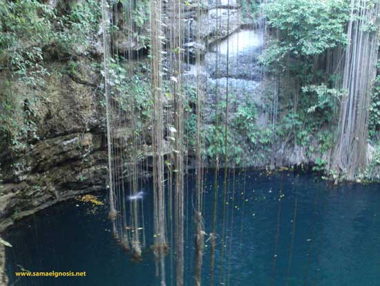 Cenote de Yucatán México. Símbolo de las aguas primordiales de vida.