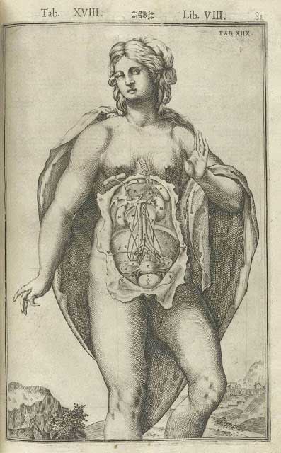 Giulio Cesare Casseri (Ferrara, 1600-1601): "Tabulae Anatomica", 1627.