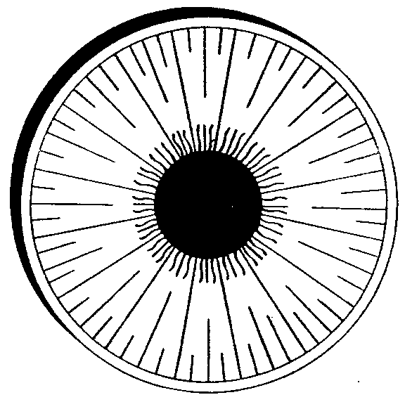 Imágenes: del libro Yo he estado en Marte de Narciso Genovese. Imágenes: del libro Yo he estado en Marte de Narciso Genovese.