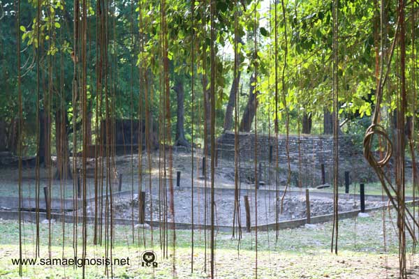Zona Arqueológica de Tamtoc. Estructura con cuatro basamentos.