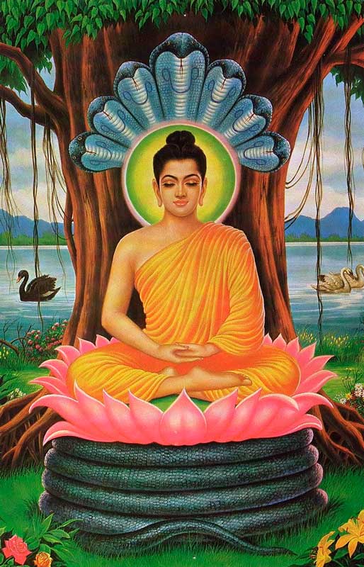 Buda meditando. Autor desconocido