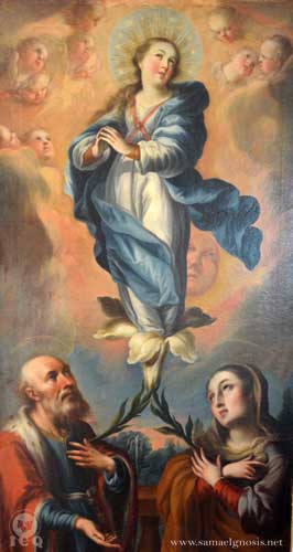 Inmaculada concepción. Museo de Guadalupe Zacatecas. Inmaculada concepción. Museo de Guadalupe Zacatecas.