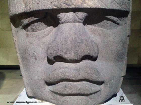 Cabeza olmeca, con rasgos de gente propia de África. Museo de Antropología de Xalapa. Foto: Jenaro Reyes y Lupita Rodríguez. Cabeza olmeca, con rasgos de gente propia de África. Museo de Antropología de Xalapa. Foto: Jenaro Reyes y Lupita Rodríguez.