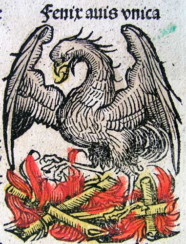 EL AVE FÉNIX”, HARTMANN SCHEDEL. (1493). EL AVE FÉNIX”, HARTMANN SCHEDEL. (1493).