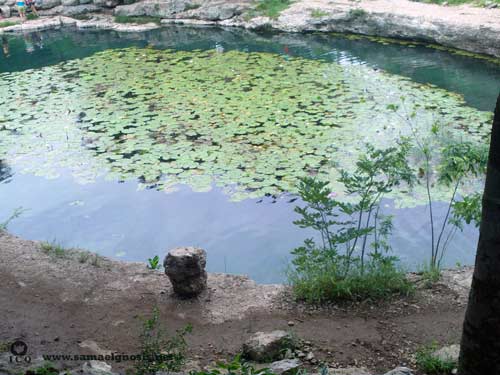 Depósito de agua en la Zona Arqueológica de Dzibilchaltún Yucatán México Depósito de agua en la Zona Arqueológica de Dzibilchaltún Yucatán México