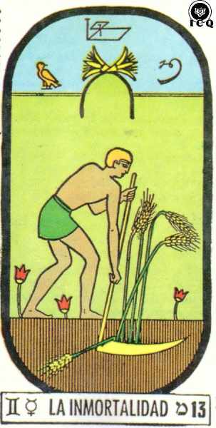 Arcano 13. La Inmortalidad: Muerte y resurrección. Transformaciones. Indica cambio total.