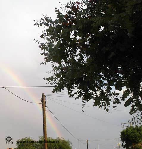 «Arco iris: Alianza». «Arco iris: Alianza».