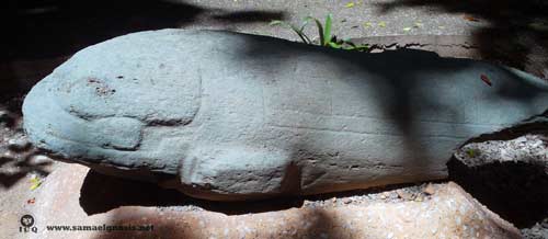 Animal marino (cetáceo).de la Zona Arqueológica de la Venta, Tabasco México Animal marino (cetáceo).de la Zona Arqueológica de la Venta, Tabasco México