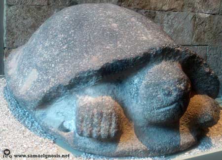 “Ya sabemos que la tortuga servía para representar al zodíaco antiguamente”. (Misterios Mayas, Samael Aun Weor). Museo Nacional de Antropología.