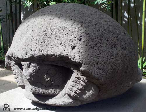 Tortuga. Museo de Antropología de Xalapa México. Tortuga. Museo de Antropología de Xalapa México.