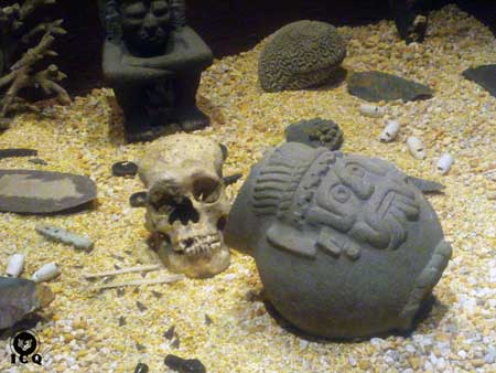 Ofrenda a Tláloc. [MTM]