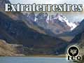Video Los Extraterrestres